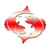 Pisces horoscope 2015