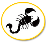 Scorpio Tamil Horoscope 2013