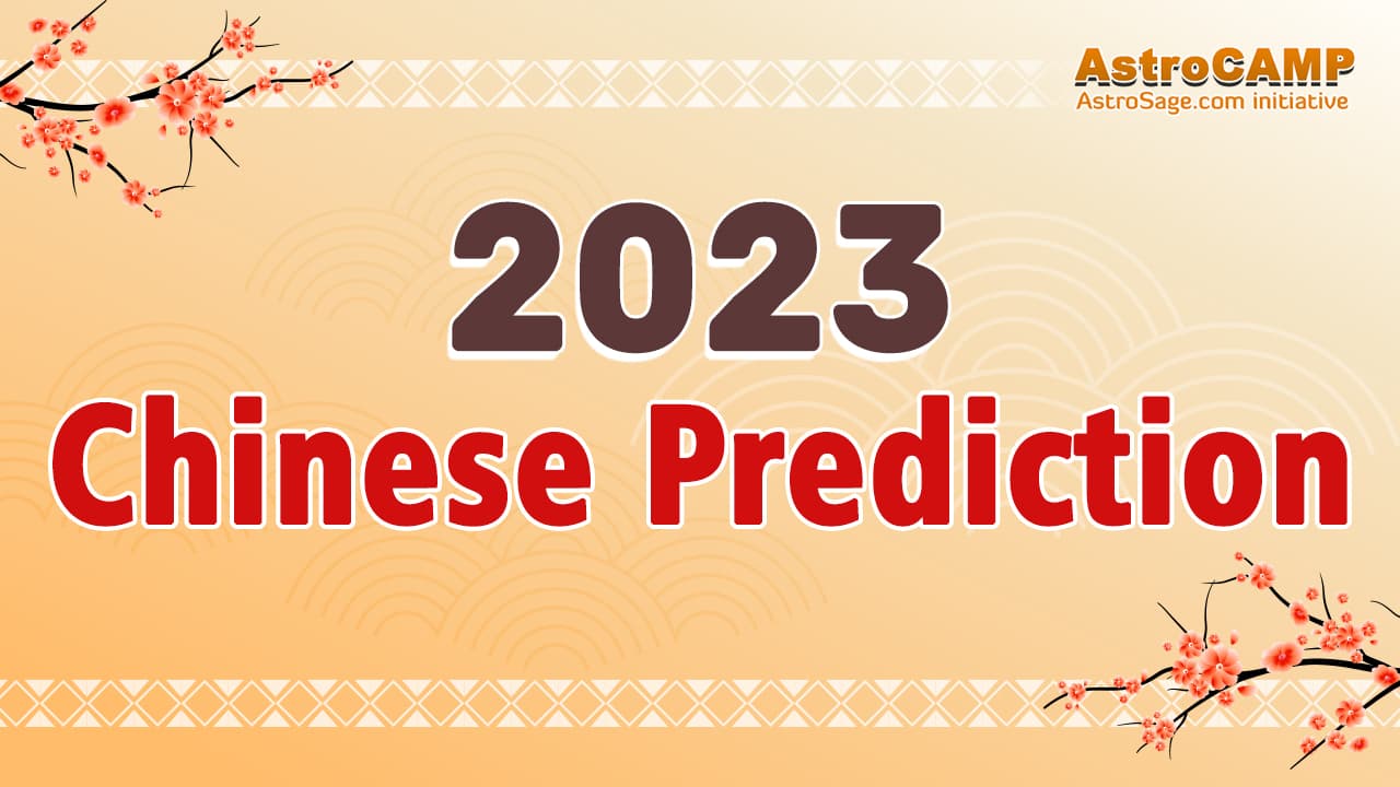 2023 chinese zodiac for pig