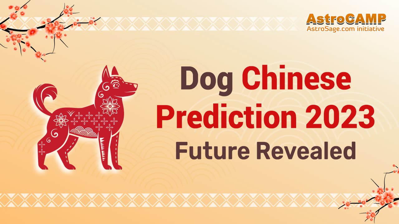 dog-chinese-horoscope-2023-chinese-zodiac-dog-2023-predictions