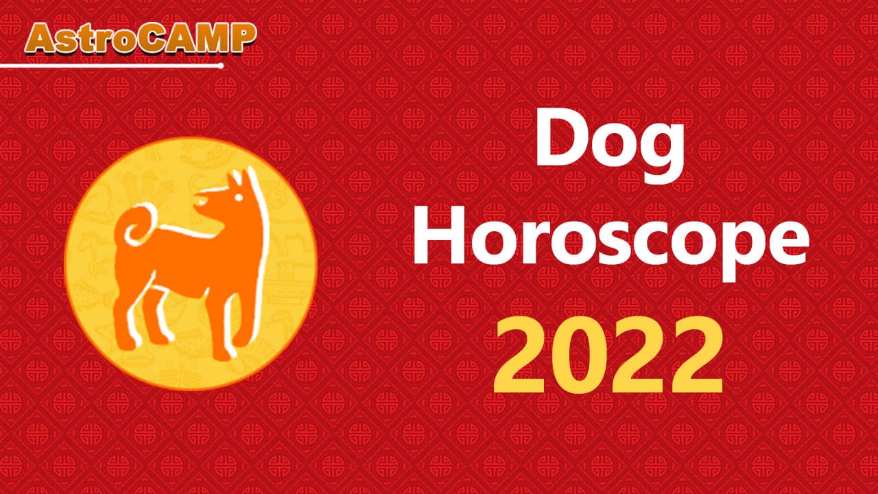 dog chinese horoscope 2022
