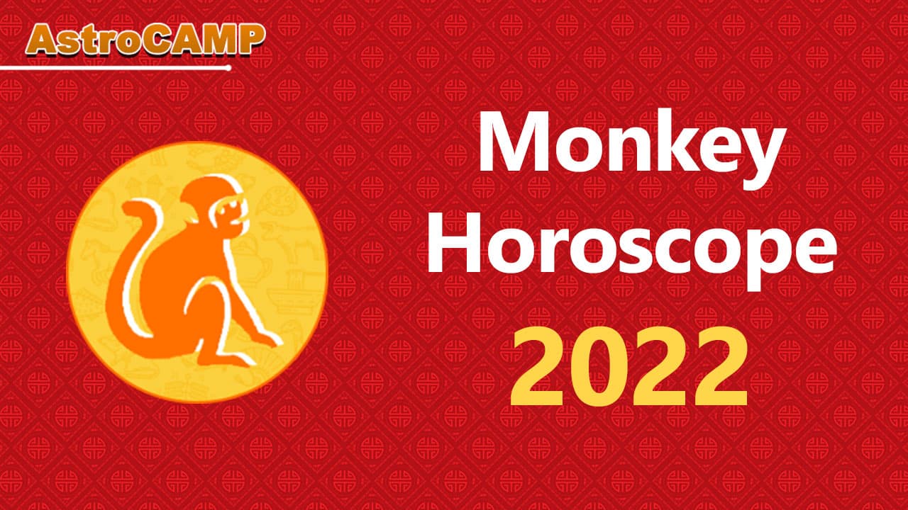 monkey chinese horoscope 2022
