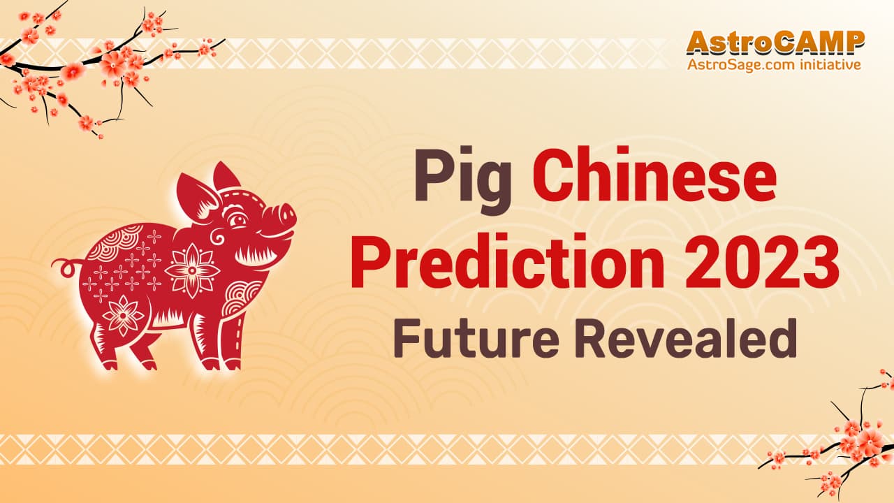 Pig Chinese Horoscope 2023