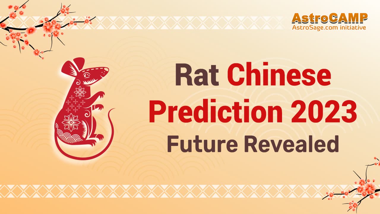 Rat Chinese Horoscope 2023 Chinese Zodiac Rat 2023 Predictions