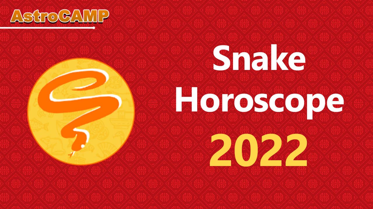 Year Of The Snake Chinese Zodiac, Personality, Horoscope, 58 OFF