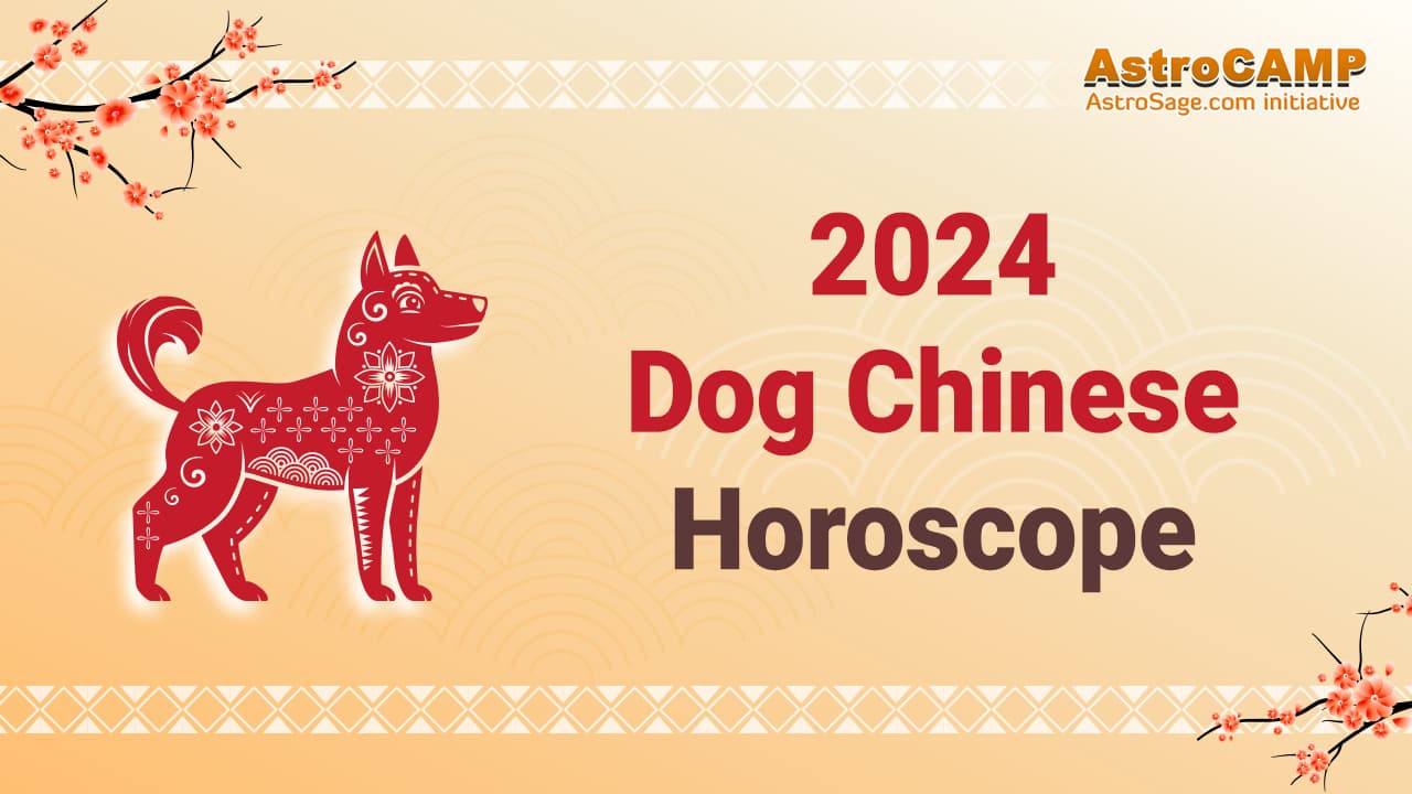 2024 Chinese Dog Horoscope Chinese Zodiac Dog 2024 Predictions