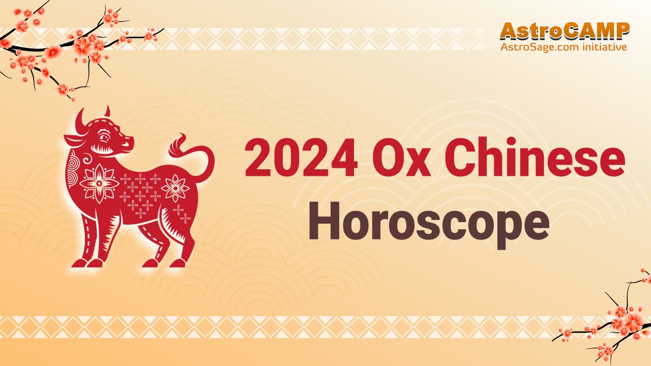 2024 Chinese Ox Horoscope Forecasts For Chinese Zodiac Ox 2024