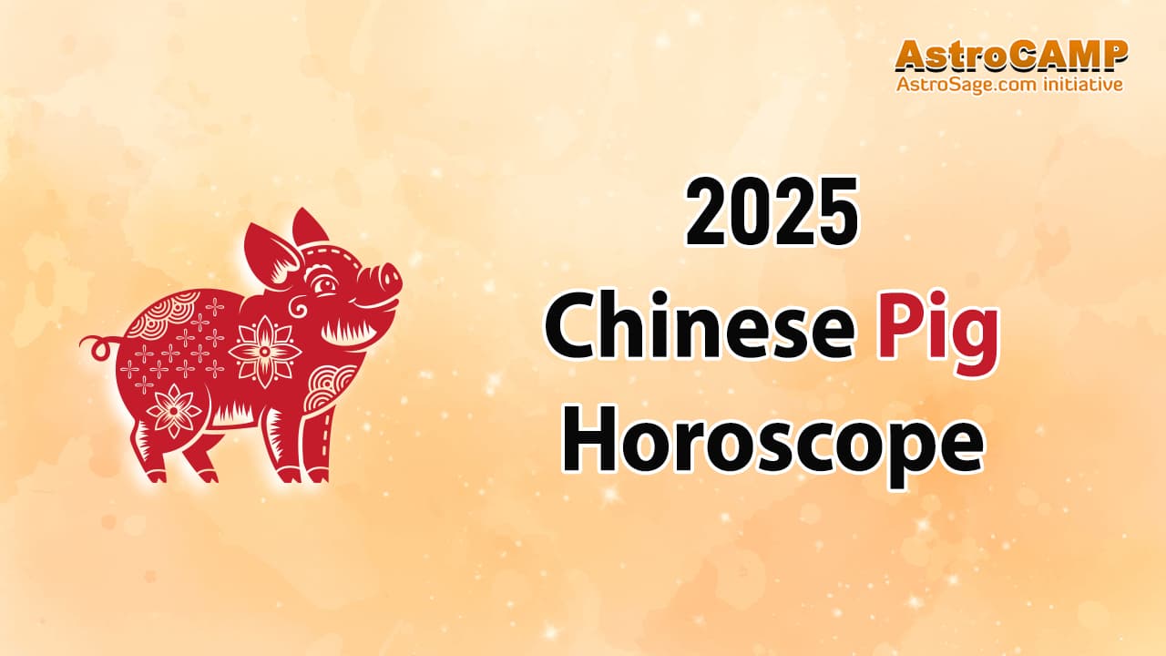 2025 Chinese Pig Horoscope